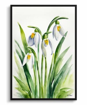 Giant Snowdrop Watercolour Botanical Art Print - Galanthus Elwesii Minimalist Framed Plant Wall Art 22 Giant Snowdrop Watercolour Botanical Art Print - Galanthus Elwesii Minimalist Framed Plant Wall Art - Image 9