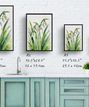 Giant Snowdrop Watercolour Botanical Art Print - Galanthus Elwesii Minimalist Framed Plant Wall Art 21 Giant Snowdrop Watercolour Botanical Art Print - Galanthus Elwesii Minimalist Framed Plant Wall Art - Image 8