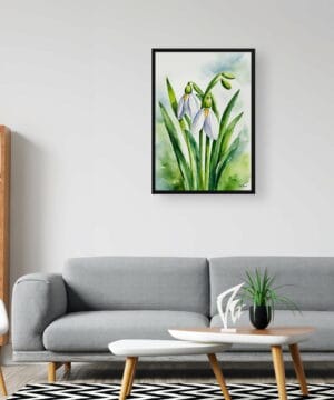 Giant Snowdrop Watercolour Botanical Art Print - Galanthus Elwesii Framed Plant Wall Art 24 Giant Snowdrop Watercolour Botanical Art Print - Galanthus Elwesii Framed Plant Wall Art - Image 11