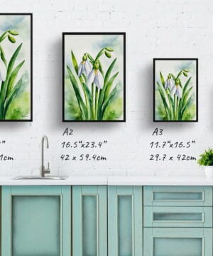 Giant Snowdrop Watercolour Botanical Art Print - Galanthus Elwesii Framed Plant Wall Art 21 Giant Snowdrop Watercolour Botanical Art Print - Galanthus Elwesii Framed Plant Wall Art - Image 8