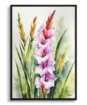 Sword Lily Watercolour Botanical Art Print - Gladiolus Communis Byzantinus Framed Plant Wall Art 22 Sword Lily Watercolour Botanical Art Print - Gladiolus Communis Byzantinus Framed Plant Wall Art - Image 9
