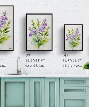 Dame's Rocket Watercolour Botanical Art Print - Hesperis Matronalis Minimalist Framed Plant Wall Art 25 Dame's Rocket Watercolour Botanical Art Print - Hesperis Matronalis Minimalist Framed Plant Wall Art - Image 12