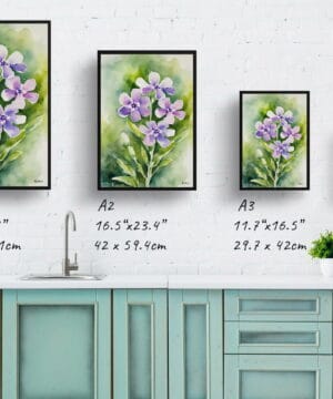 Dame's Rocket Watercolour Botanical Art Print - Hesperis Matronalis Framed Plant Wall Art - Image 12