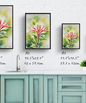 Honeysuckle Watercolour Botanical Art Print - Trumpet Flower Framed Plant Wall Art 21 Honeysuckle Watercolour Botanical Art Print - Trumpet Flower Framed Plant Wall Art - Image 8