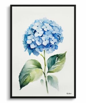 Hortensia Watercolour Botanical Art Print - Hydrangea Minimalist Framed Plant Wall Art 22 Hortensia Watercolour Botanical Art Print - Hydrangea Minimalist Framed Plant Wall Art - Image 9