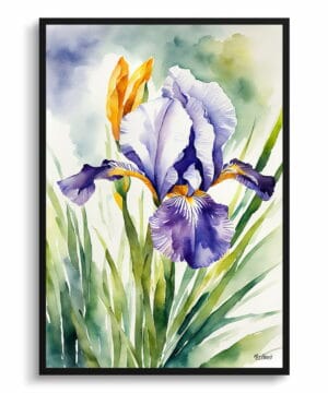 Fleur-de-lis Watercolour Botanical Art Print - Iris Framed Plant Wall Art 22 Fleur-de-lis Watercolour Botanical Art Print - Iris Framed Plant Wall Art - Image 9