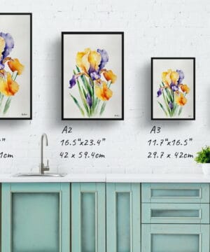 Fleur-de-lis Watercolour Botanical Art Print - Iris Minimalist Framed Plant Wall Art 25 Fleur-de-lis Watercolour Botanical Art Print - Iris Minimalist Framed Plant Wall Art - Image 12