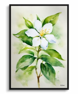 Jasminum officinale Watercolour Botanical Art Print - Jasmine Framed Plant Wall Art 22 Jasminum officinale Watercolour Botanical Art Print - Jasmine Framed Plant Wall Art - Image 9