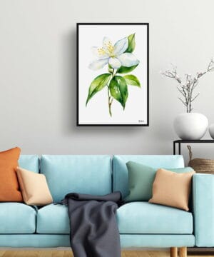 Jasminum officinale Watercolour Botanical Art Print - Jasmine Minimalist Framed Plant Wall Art 22 Jasminum officinale Watercolour Botanical Art Print - Jasmine Minimalist Framed Plant Wall Art - Image 9