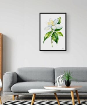 Jasminum officinale Watercolour Botanical Art Print - Jasmine Minimalist Framed Plant Wall Art 23 Jasminum officinale Watercolour Botanical Art Print - Jasmine Minimalist Framed Plant Wall Art - Image 10