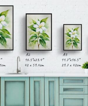 Jasminum officinale Watercolour Botanical Art Print - Jasmine Framed Plant Wall Art 21 Jasminum officinale Watercolour Botanical Art Print - Jasmine Framed Plant Wall Art - Image 8