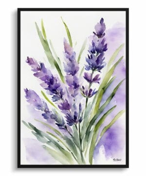 English Lavender Watercolour Botanical Art Print - Framed Plant Wall Art 22 English Lavender Watercolour Botanical Art Print - Framed Plant Wall Art - Image 9
