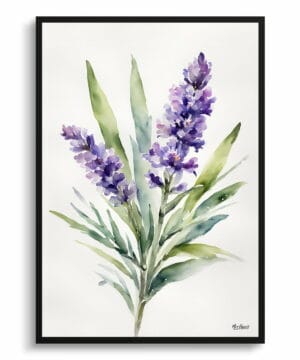 English Lavender Watercolour Botanical Art Print - Minimalist Framed Plant Wall Art 22 English Lavender Watercolour Botanical Art Print - Minimalist Framed Plant Wall Art - Image 9