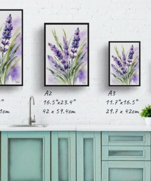 English Lavender Watercolour Botanical Art Print - Framed Plant Wall Art 25 English Lavender Watercolour Botanical Art Print - Framed Plant Wall Art - Image 12