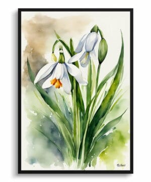 Giant Summer Snowflake Watercolour Botanical Art Print - Leucojum aestivum Framed Plant Wall Art 18 Giant Summer Snowflake Watercolour Botanical Art Print - Leucojum aestivum Framed Plant Wall Art - Image 5