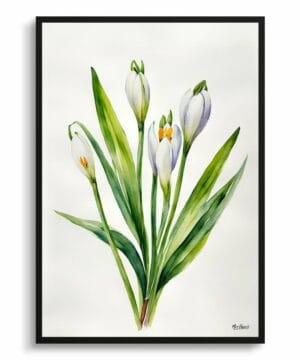 Giant Summer Snowflake Watercolour Botanical Art Print - Leucojum Aestivum Gravetye Minimalist Framed Plant Wall Art 22 Giant Summer Snowflake Watercolour Botanical Art Print - Leucojum Aestivum Gravetye Minimalist Framed Plant Wall Art - Image 9