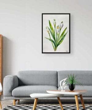 Giant Summer Snowflake Watercolour Botanical Art Print - Leucojum Aestivum Gravetye Minimalist Framed Plant Wall Art 24 Giant Summer Snowflake Watercolour Botanical Art Print - Leucojum Aestivum Gravetye Minimalist Framed Plant Wall Art - Image 11