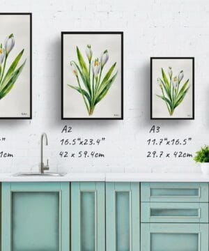 Giant Summer Snowflake Watercolour Botanical Art Print - Leucojum Aestivum Gravetye Minimalist Framed Plant Wall Art 21 Giant Summer Snowflake Watercolour Botanical Art Print - Leucojum Aestivum Gravetye Minimalist Framed Plant Wall Art - Image 8