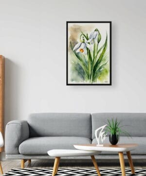 Giant Summer Snowflake Watercolour Botanical Art Print - Leucojum aestivum Framed Plant Wall Art 24 Giant Summer Snowflake Watercolour Botanical Art Print - Leucojum aestivum Framed Plant Wall Art - Image 11