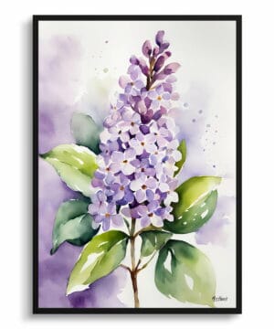 French Lilac Watercolour Botanical Art Print - Framed Plant Wall Art 22 French Lilac Watercolour Botanical Art Print - Framed Plant Wall Art - Image 9