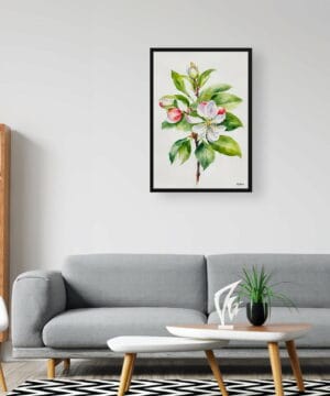 Howgate Wonder Apple Watercolour Botanical Art Print - Malus Domestica Minimalist Framed Plant Wall Art 24 Howgate Wonder Apple Watercolour Botanical Art Print - Malus Domestica Minimalist Framed Plant Wall Art - Image 11
