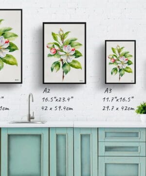 Howgate Wonder Apple Watercolour Botanical Art Print - Malus Domestica Minimalist Framed Plant Wall Art 21 Howgate Wonder Apple Watercolour Botanical Art Print - Malus Domestica Minimalist Framed Plant Wall Art - Image 8