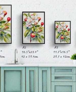 Howgate Wonder Apple Watercolour Botanical Art Print - Malus Domestica Framed Plant Wall Art 25 Howgate Wonder Apple Watercolour Botanical Art Print - Malus Domestica Framed Plant Wall Art - Image 12