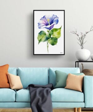 Morning Glory Blue Watercolour Botanical Art Print - Ipomoea Purpurea Minimalist Framed Plant Wall Art 19 Morning Glory Blue Watercolour Botanical Art Print - Ipomoea Purpurea Minimalist Framed Plant Wall Art - Image 6