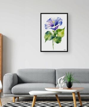 Morning Glory Blue Watercolour Botanical Art Print - Ipomoea Purpurea Minimalist Framed Plant Wall Art 20 Morning Glory Blue Watercolour Botanical Art Print - Ipomoea Purpurea Minimalist Framed Plant Wall Art - Image 7