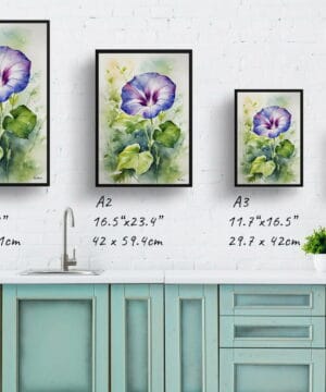 Morning Glory Blue Watercolour Botanical Art Print - Ipomoea Purpurea Framed Plant Wall Art 25 Morning Glory Blue Watercolour Botanical Art Print - Ipomoea Purpurea Framed Plant Wall Art - Image 12