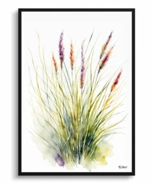 Hairawn Muhly Watercolour Botanical Art Print - Muhlenbergia capillaris Minimalist Framed Plant Wall Art 22 Hairawn Muhly Watercolour Botanical Art Print - Muhlenbergia capillaris Minimalist Framed Plant Wall Art - Image 9