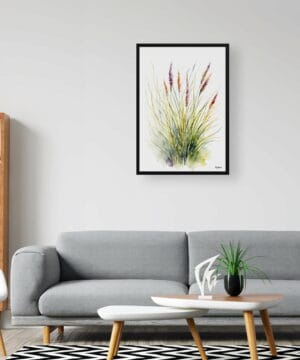 Hairawn Muhly Watercolour Botanical Art Print - Muhlenbergia capillaris Minimalist Framed Plant Wall Art 20 Hairawn Muhly Watercolour Botanical Art Print - Muhlenbergia capillaris Minimalist Framed Plant Wall Art - Image 7