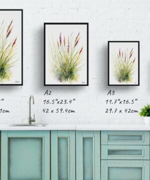 Hairawn Muhly Watercolour Botanical Art Print - Muhlenbergia capillaris Minimalist Framed Plant Wall Art 25 Hairawn Muhly Watercolour Botanical Art Print - Muhlenbergia capillaris Minimalist Framed Plant Wall Art - Image 12