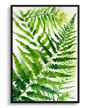 Sensitive Fern Watercolour Botanical Art Print - Onoclea Sensibilis Framed Plant Wall Art 18 Sensitive Fern Watercolour Botanical Art Print - Onoclea Sensibilis Framed Plant Wall Art - Image 5
