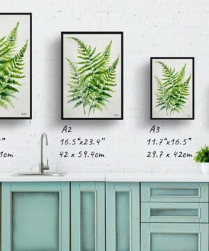Sensitive Fern Watercolour Botanical Art Print - Onoclea Sensibilis Minimalist Framed Plant Wall Art 25 Sensitive Fern Watercolour Botanical Art Print - Onoclea Sensibilis Minimalist Framed Plant Wall Art - Image 12