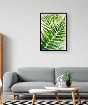 Sensitive Fern Watercolour Botanical Art Print - Onoclea Sensibilis Framed Plant Wall Art 24 Sensitive Fern Watercolour Botanical Art Print - Onoclea Sensibilis Framed Plant Wall Art - Image 11