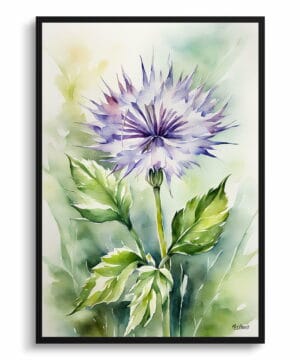 Cotton Scotch thistle Watercolour Botanical Art Print - Onopordum Acanthium Framed Plant Wall Art 18 Cotton Scotch thistle Watercolour Botanical Art Print - Onopordum Acanthium Framed Plant Wall Art - Image 5