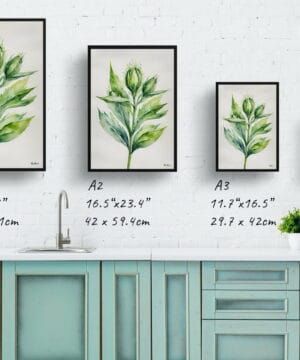 Cotton Scotch thistle Watercolour Botanical Art Print - Onopordum Acanthium Minimalist Framed Plant Wall Art 21 Cotton Scotch thistle Watercolour Botanical Art Print - Onopordum Acanthium Minimalist Framed Plant Wall Art - Image 8