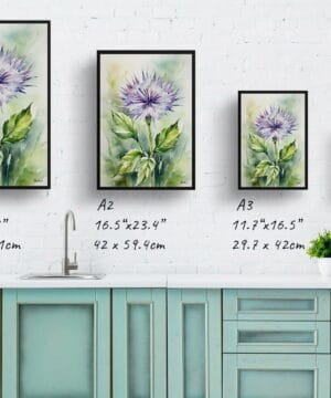 Cotton Scotch thistle Watercolour Botanical Art Print - Onopordum Acanthium Framed Plant Wall Art 25 Cotton Scotch thistle Watercolour Botanical Art Print - Onopordum Acanthium Framed Plant Wall Art - Image 12