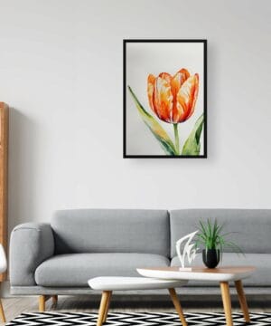 Orange tulip Watercolour Botanical Art Print - Tulipa Framed Plant Wall Art 20 Orange tulip Watercolour Botanical Art Print - Tulipa Framed Plant Wall Art - Image 7