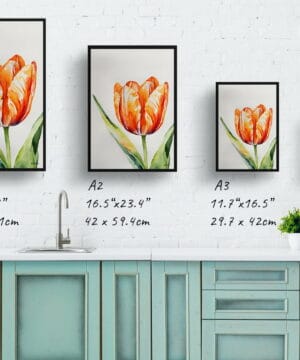 Orange tulip Watercolour Botanical Art Print - Tulipa Framed Plant Wall Art 25 Orange tulip Watercolour Botanical Art Print - Tulipa Framed Plant Wall Art - Image 12