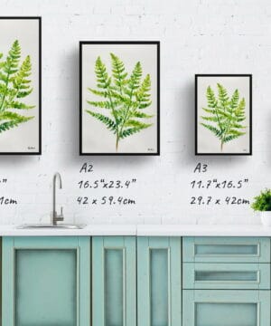 Royal fern Watercolour Botanical Art Print - Osmunda Regalis Minimalist Framed Plant Wall Art 21 Royal fern Watercolour Botanical Art Print - Osmunda Regalis Minimalist Framed Plant Wall Art - Image 8