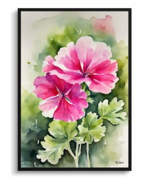 Pink Geranium Watercolour Botanical Art Print - Framed Plant Wall Art 18 Pink Geranium Watercolour Botanical Art Print - Framed Plant Wall Art - Image 5