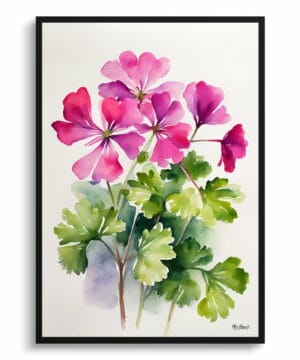 Pink Geranium Watercolour Botanical Art Print - Minimalist Framed Plant Wall Art 22 Pink Geranium Watercolour Botanical Art Print - Minimalist Framed Plant Wall Art - Image 9
