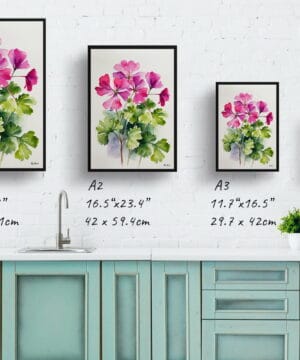 Pink Geranium Watercolour Botanical Art Print - Minimalist Framed Plant Wall Art 21 Pink Geranium Watercolour Botanical Art Print - Minimalist Framed Plant Wall Art - Image 8