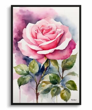 Rosa Watercolour Botanical Art Print - Pink rose Framed Plant Wall Art 18 Rosa Watercolour Botanical Art Print - Pink rose Framed Plant Wall Art - Image 5