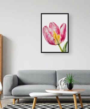 Tulipa Watercolour Botanical Art Print - Pink tulip Minimalist Framed Plant Wall Art 20 Tulipa Watercolour Botanical Art Print - Pink tulip Minimalist Framed Plant Wall Art - Image 7
