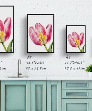 Tulipa Watercolour Botanical Art Print - Pink tulip Minimalist Framed Plant Wall Art 21 Tulipa Watercolour Botanical Art Print - Pink tulip Minimalist Framed Plant Wall Art - Image 8