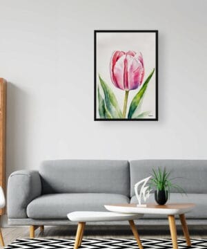 Tulipa Watercolour Botanical Art Print - Pink tulip Framed Plant Wall Art 20 Tulipa Watercolour Botanical Art Print - Pink tulip Framed Plant Wall Art - Image 7