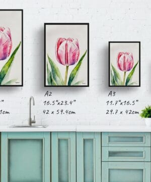 Tulipa Watercolour Botanical Art Print - Pink tulip Framed Plant Wall Art 21 Tulipa Watercolour Botanical Art Print - Pink tulip Framed Plant Wall Art - Image 8